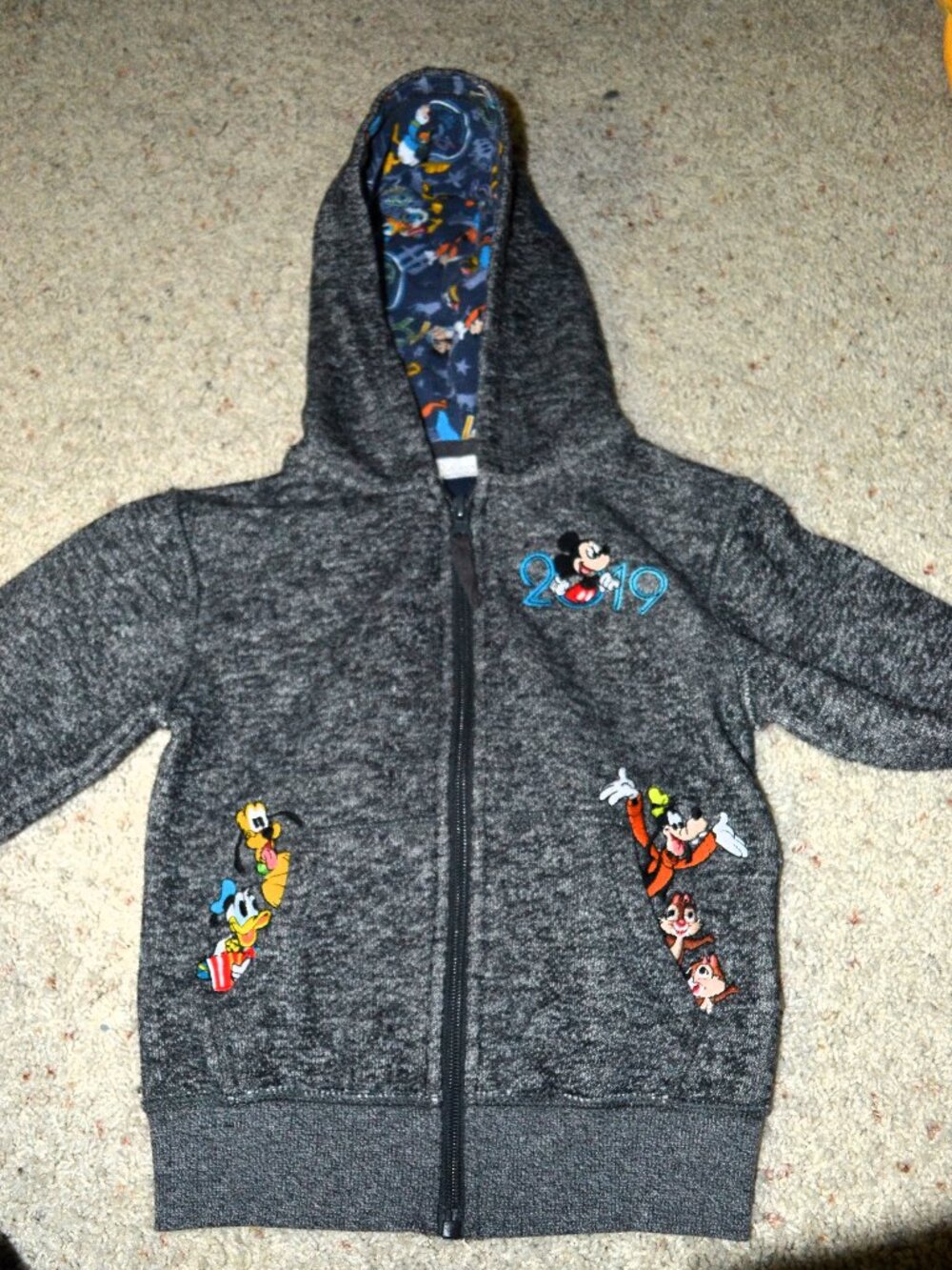 Kids 2019 Disney Parks Hoodie